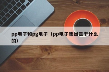 pp电子和pg电子（pp电子集团是干什么的）